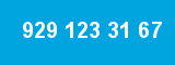 929 123 31 67 929 123 31 67